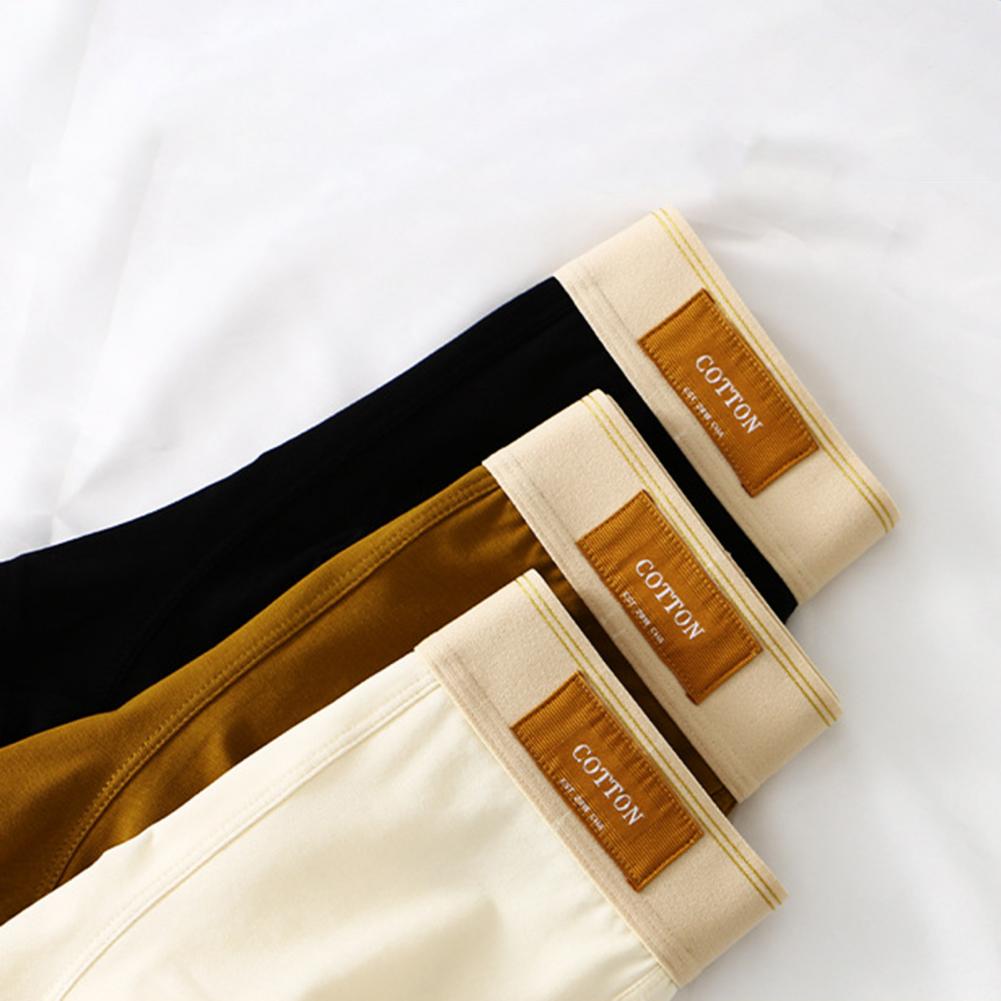 Cotton Boxer Shorts | Lupi