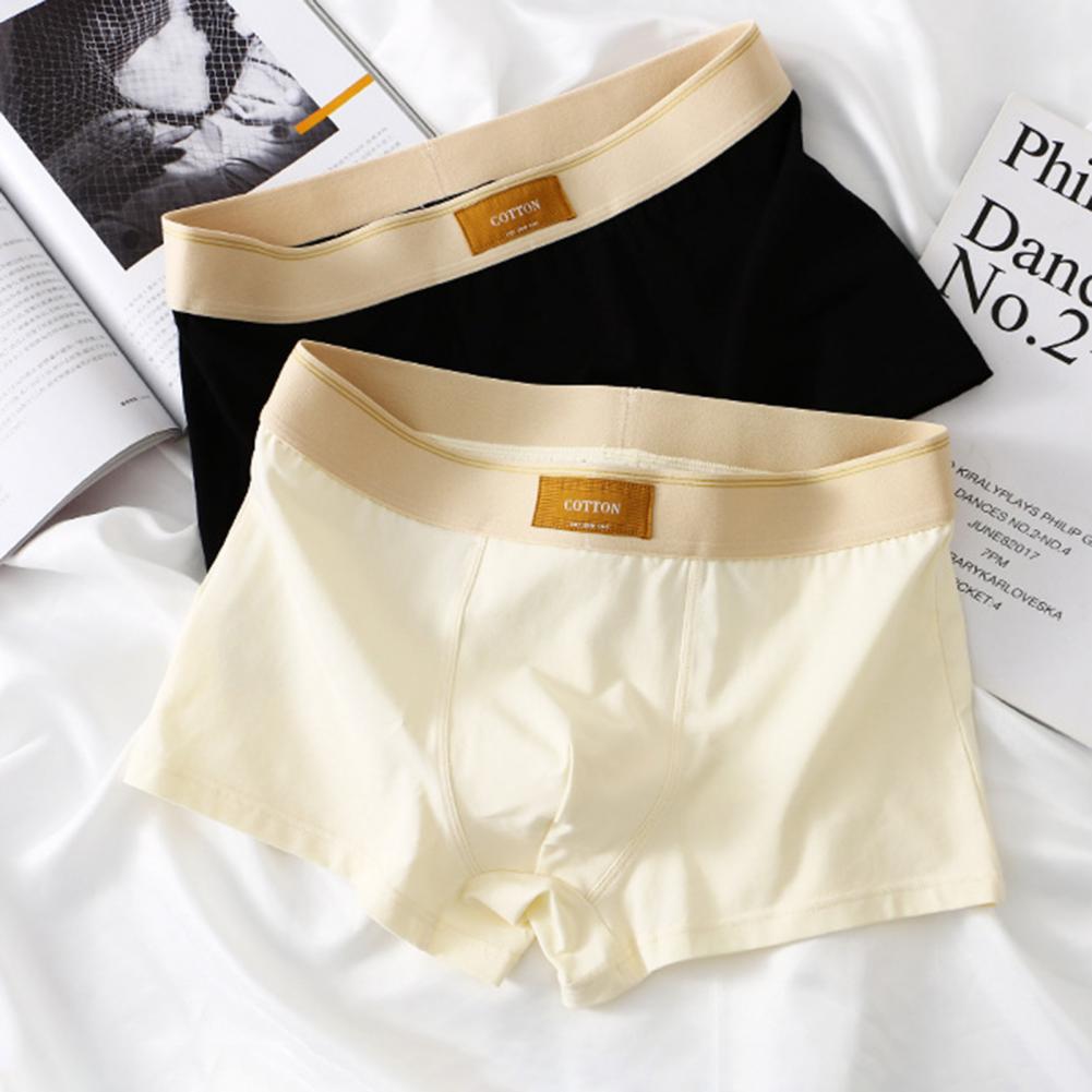 Cotton Boxer Shorts | Lupi